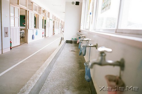 晚安心语：坚强向上，靠近阳光 (4)