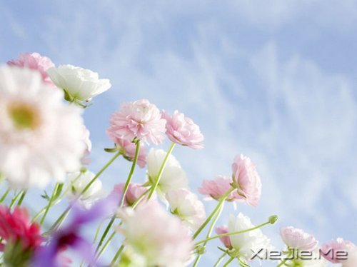 晚安心语：收拾心情，重新上路 (4)