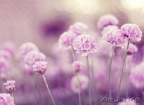 晚安心语：收拾心情，重新上路 (9)