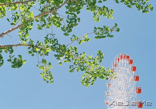 晚安心语：总有些瞬间，能温暖整个曾今 (4)