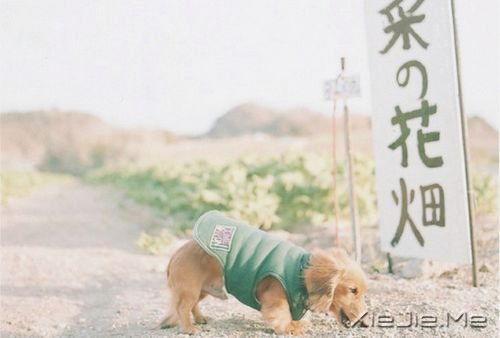 晚安心语：总有些瞬间，能温暖整个曾今 (8)
