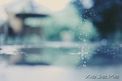 早安心语：我正在努力变成自己喜欢的那个自己 (3)