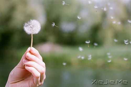 早安心语：我正在努力变成自己喜欢的那个自己 (7)