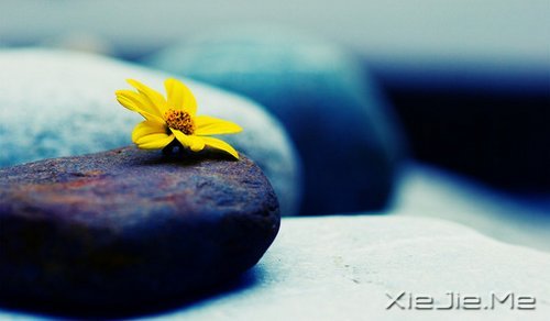 早安心语：就算世界荒芜，也总有一个人是你的信徒 (6)