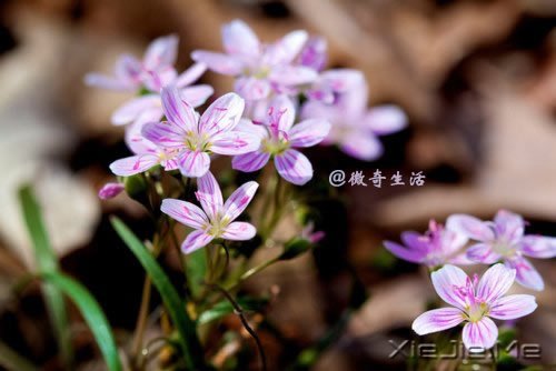 感人故事：一位母亲一生中撒的8个谎言