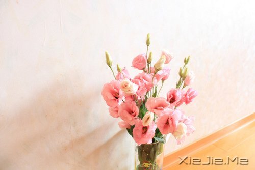 文字：世界很美好，值得你为之奋斗