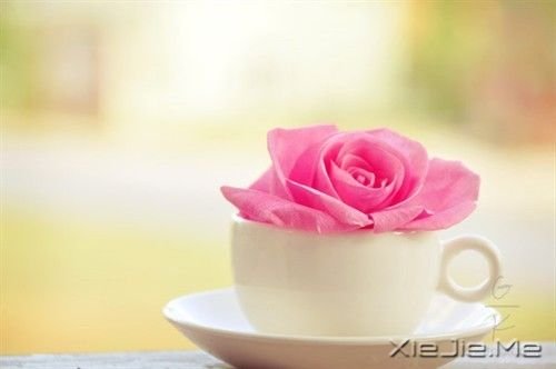 我用心守候 (3)